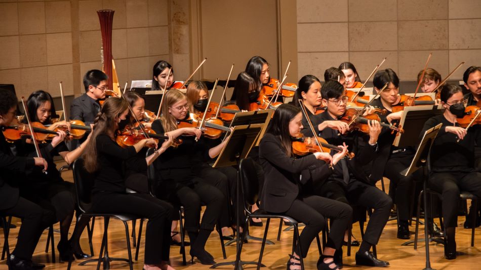 Orchestra violin performance