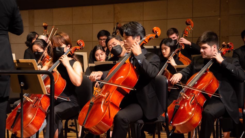 the cello section during an orchestra performance