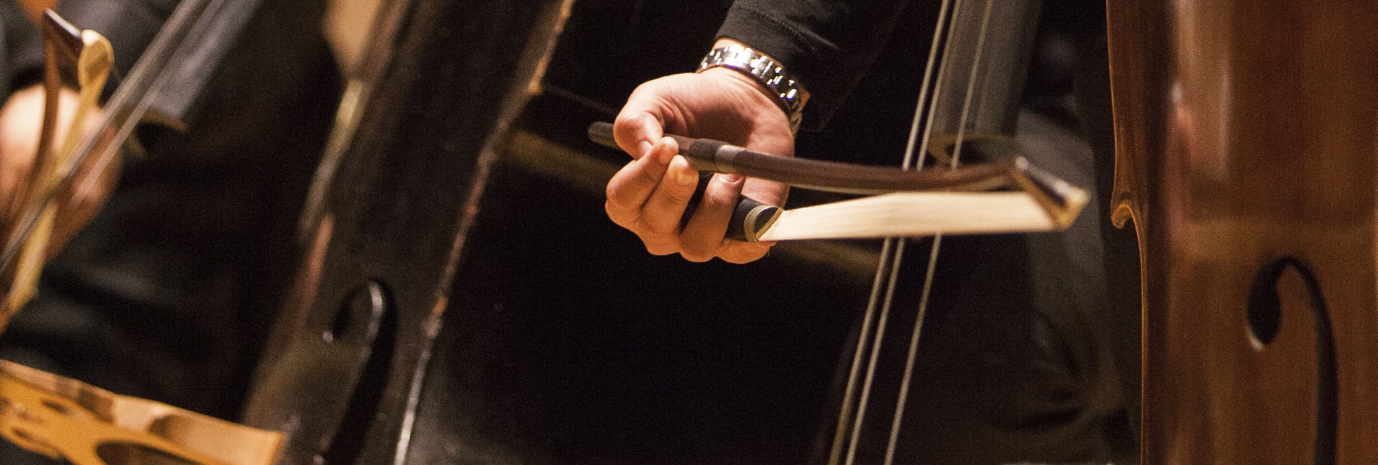 double bass performance orchestra