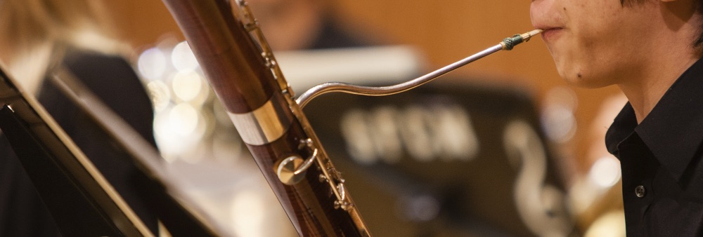 Bassoonist