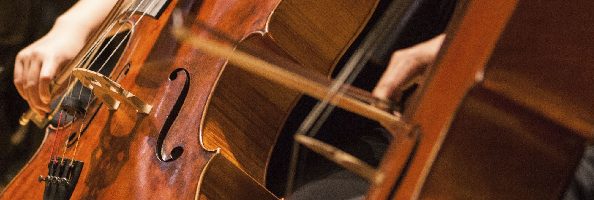 A close picture of the middle section of a cello while the bow moves across the strings