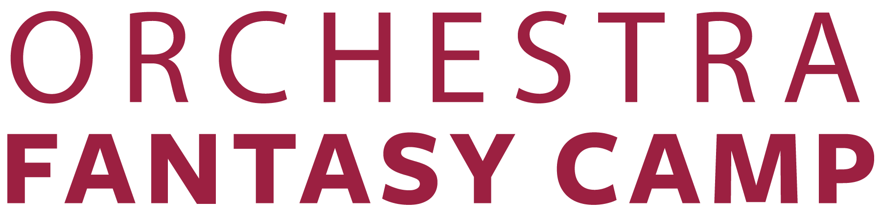 Orchestra Fantasy Camp