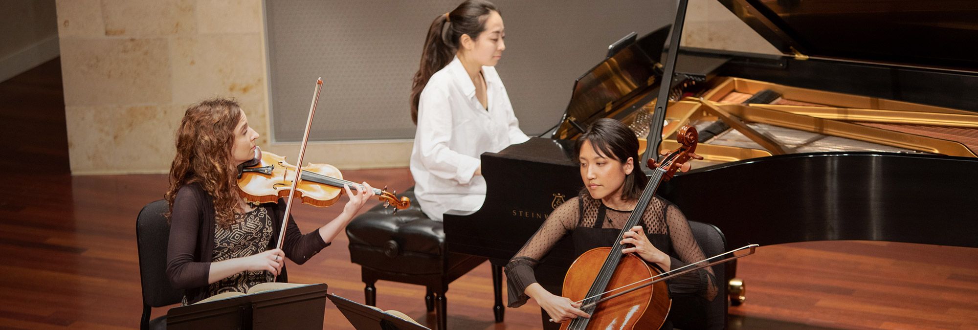 String and piano chamber music performance, 19-20 Performance Calendar