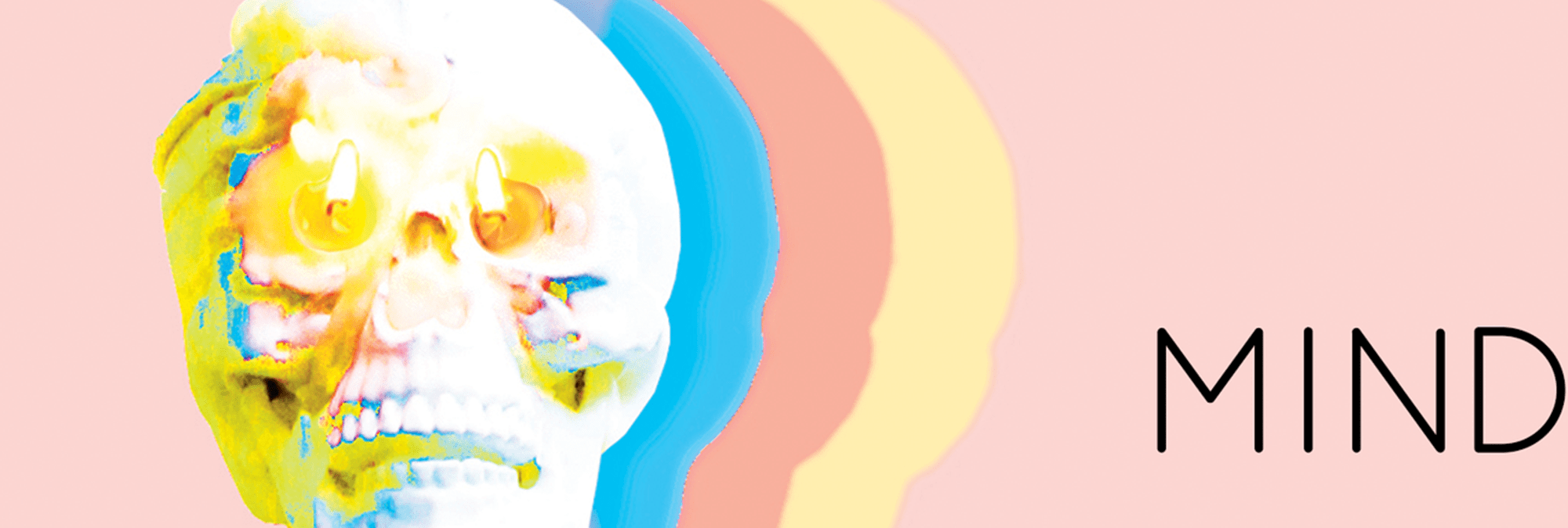 MIND II feature photo skull in negative with artistic pastel reverberations 