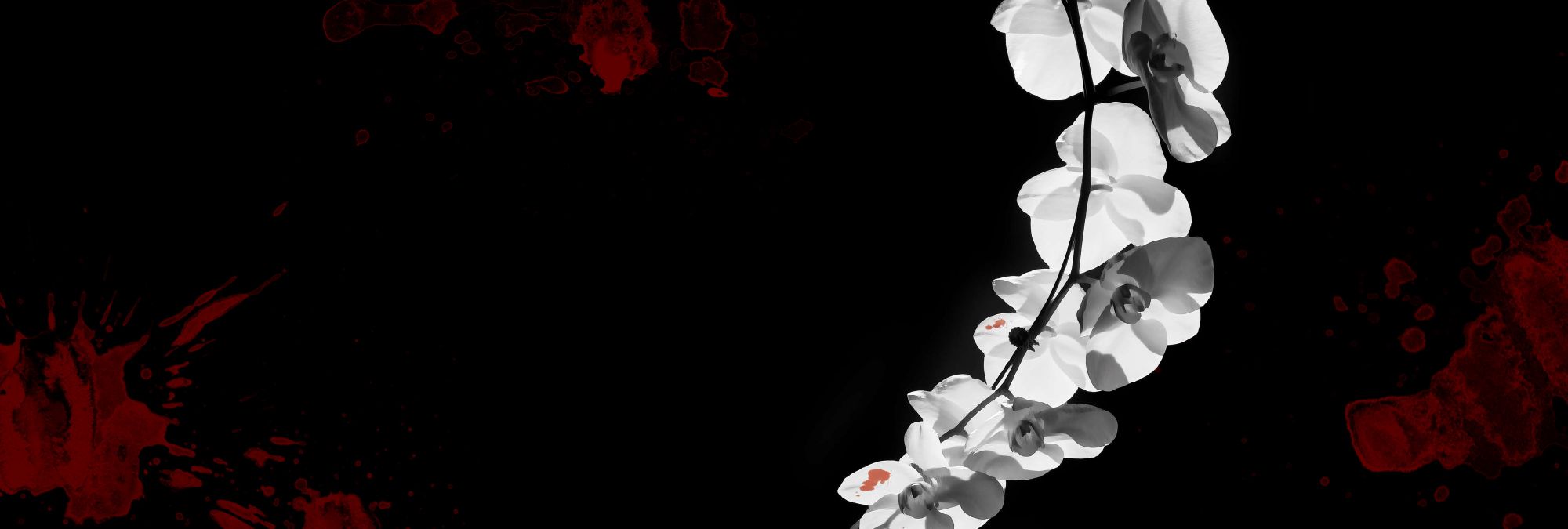 a black background with red blots and white flowers 