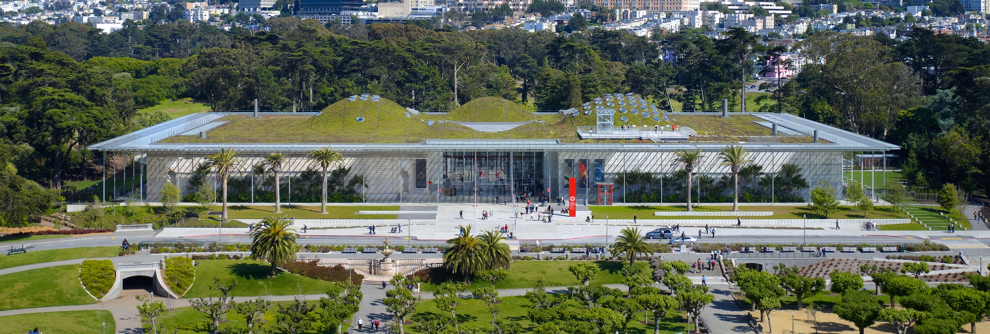 California Academy of Arts in Golden Gate Park California Academy of Arts in Golden Gate Park