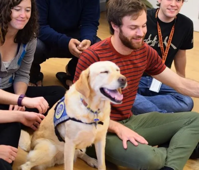 Students with dogs