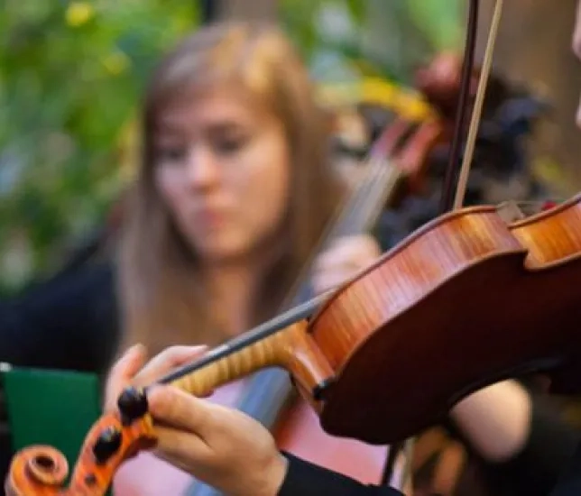 In focus shot of string player within quartet
