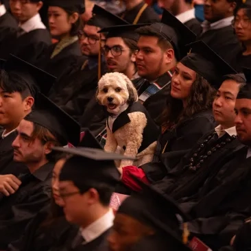 Dog seated during SFCM 2024 Commencement