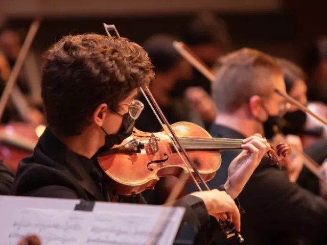 a violinist in the section playing during a performance