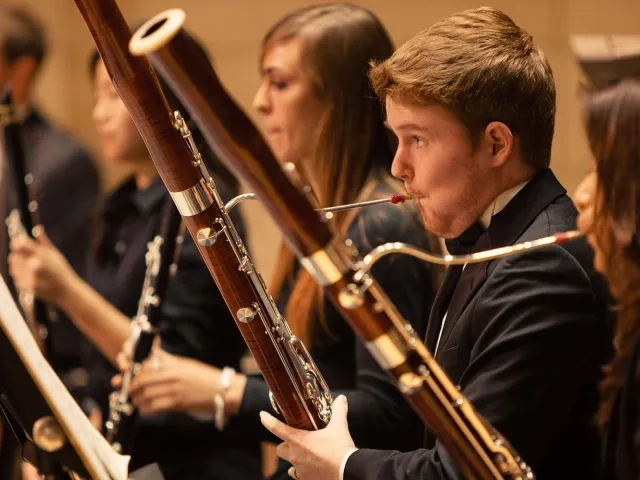 Woodwinds - Bassoon - Hero