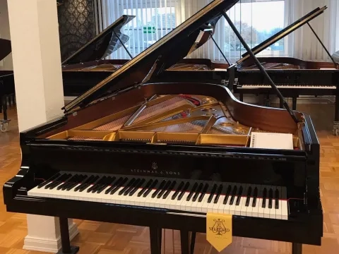 Steinway Piano from Hamburg