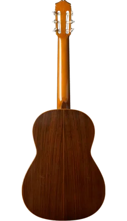1930 Santos Hernández guitar back
