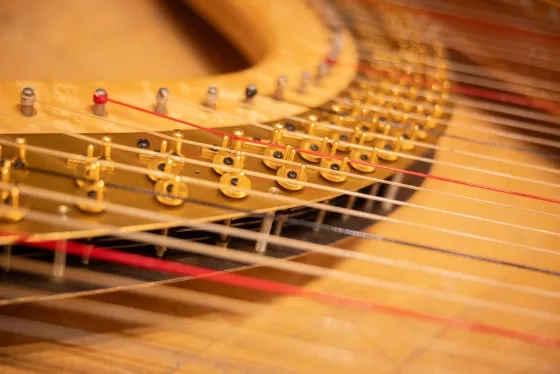 A close-up of the linkage of a concert pedal harp.