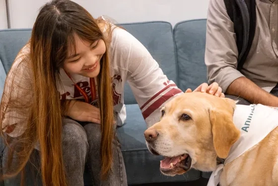 Charlie the therapy dog visits SFCM for Wellness Week.