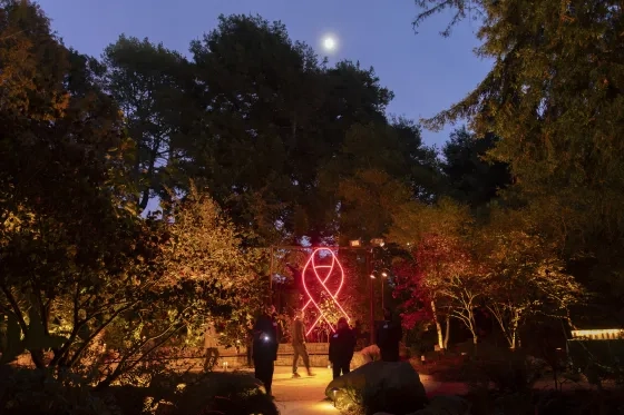 The 2025 Light in the Grove Festival (Credit: Onyx & Ash Photography).