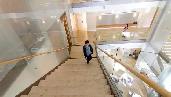 SFCM 50 Oak staircase