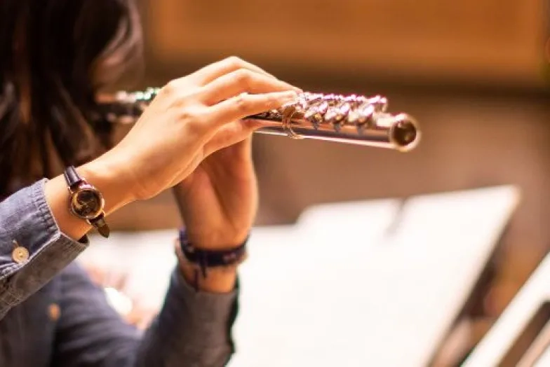 Generic flute picture