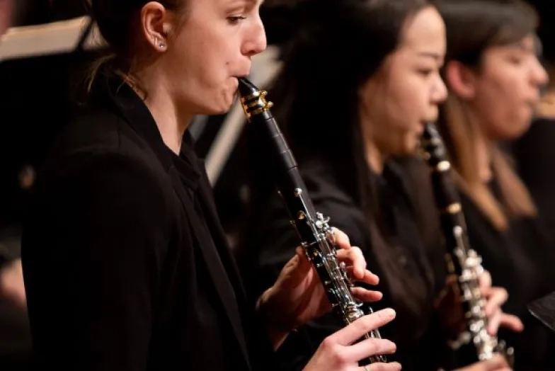 the clarinet section during a performance