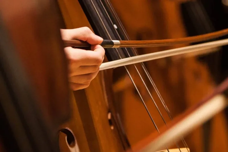 Degrees and Programs - Departments - Strings - Double Bass - CTA