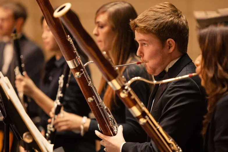 Woodwinds - Bassoon - Hero