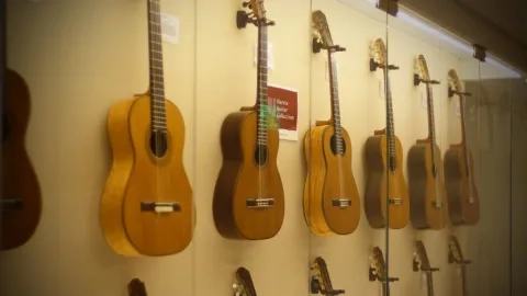 Harris Guitar Collection