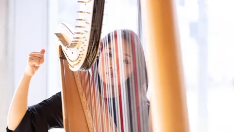 Strings harp generic photo