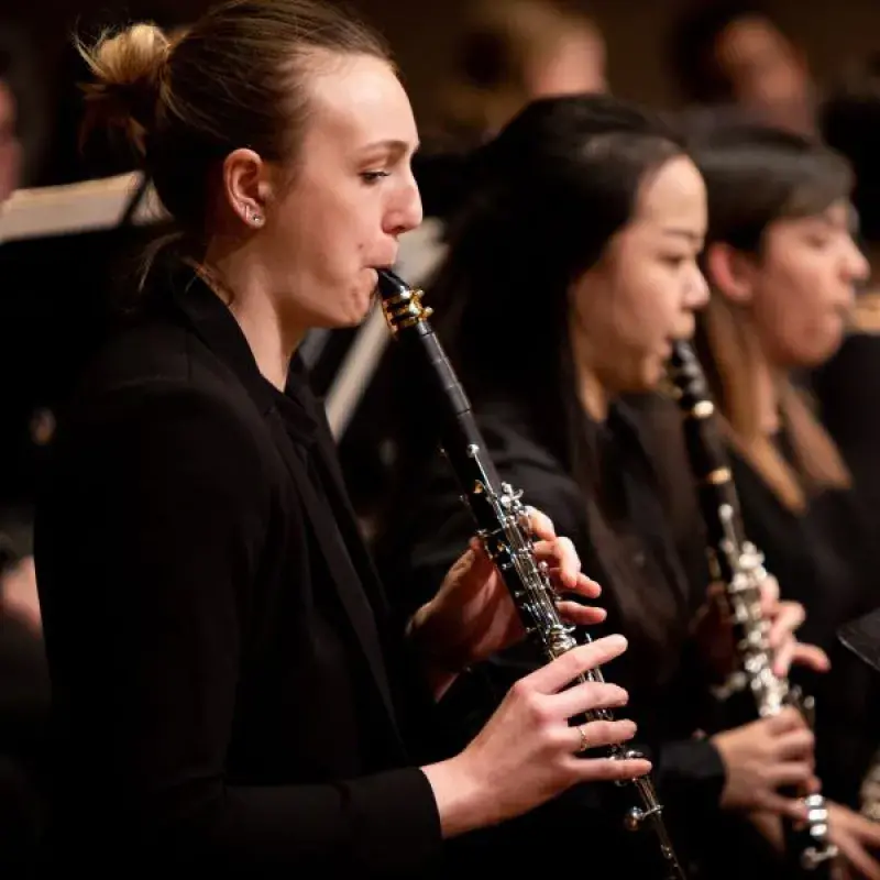 the clarinet section during a performance