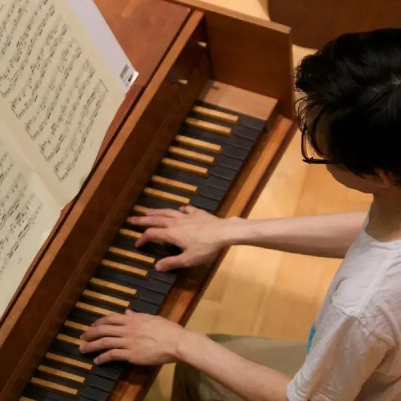 a harpsichord student and his hands from above