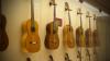 Harris Guitar Collection